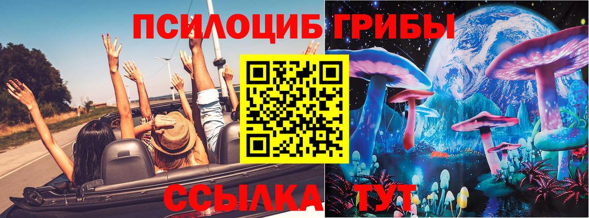 Александров  Галлюциногенные грибы мицелий  Вход с VPN 